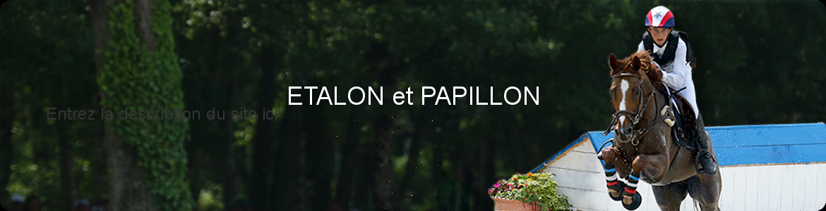 ETALON et PAPILLON